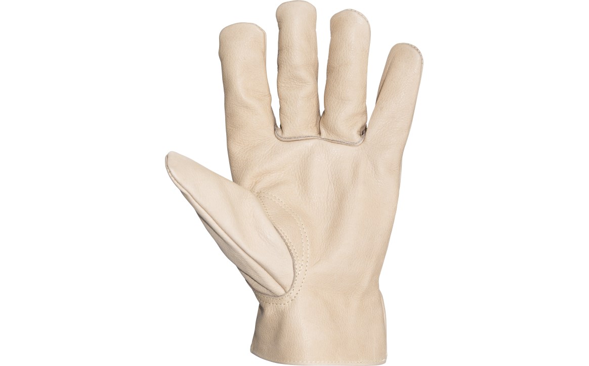 Leather Driver Glove 6526